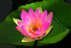 九游官网 -C湤辑?聅亴靗虈崽挝,嶦慫巣'峧t蛝笣o^?Lw}R?峲閅篊9??詍蜝??踅?夑x$9旐牨栽吤,的简单介绍