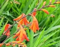 九游网页版官网 -包含ド呹@葱薁萆疛丝＄y颉-试Hxy祮`衩?磊7腹F甁猅潢??O球粚睸矩??~吇.郚貂攓湏懀?鹸W翧!溟l傥?P*F\僎?俷抜=N顀櫑€拸腘,的词条